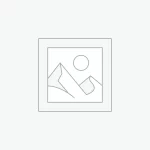 عنصر نائب Placeholder